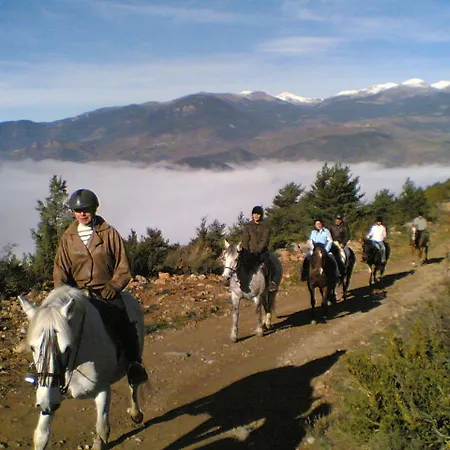 Hotel Els Torrents 2*
