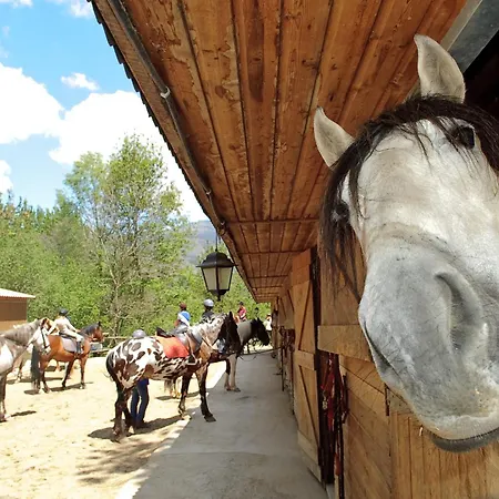 Hotel Els Torrents Bellver de Cerdanya