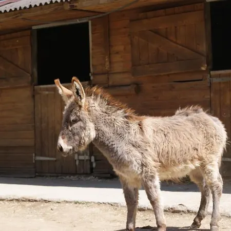 Hotel Els Torrents Bellver de Cerdanya